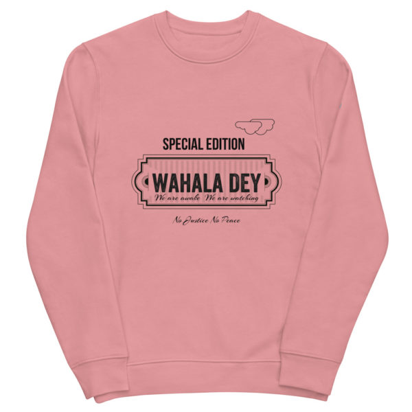 unisex eco sweatshirt canyon pink front 61f923ff86b1e