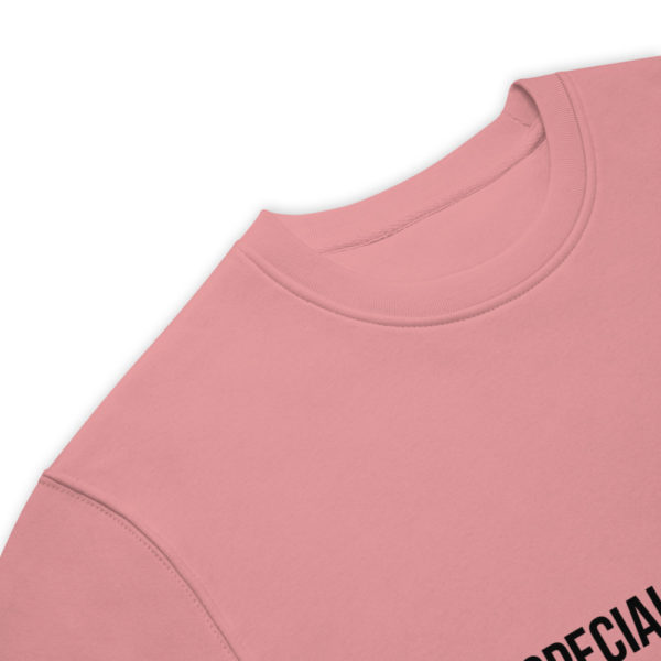 unisex eco sweatshirt canyon pink product details 61f923ff86965
