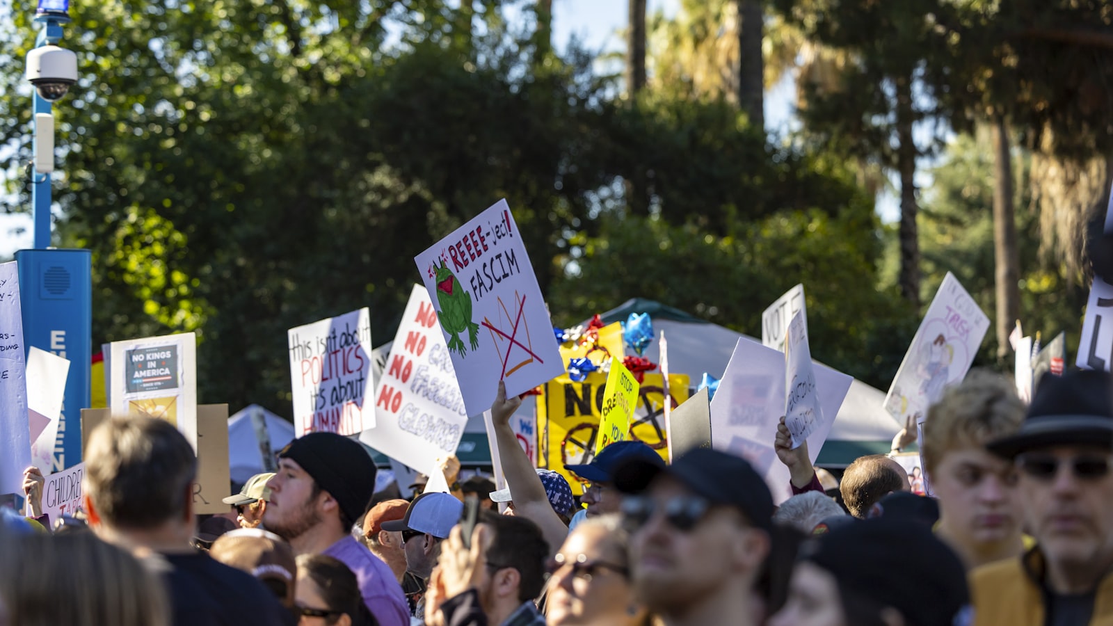 Nonviolent civic gathering with signs representing courage compassion and public conscience
