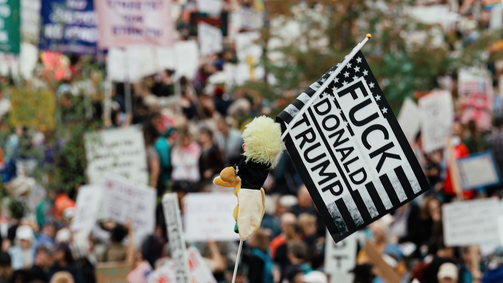 Peaceful crowd with signs representing sustainable activism and collective action
