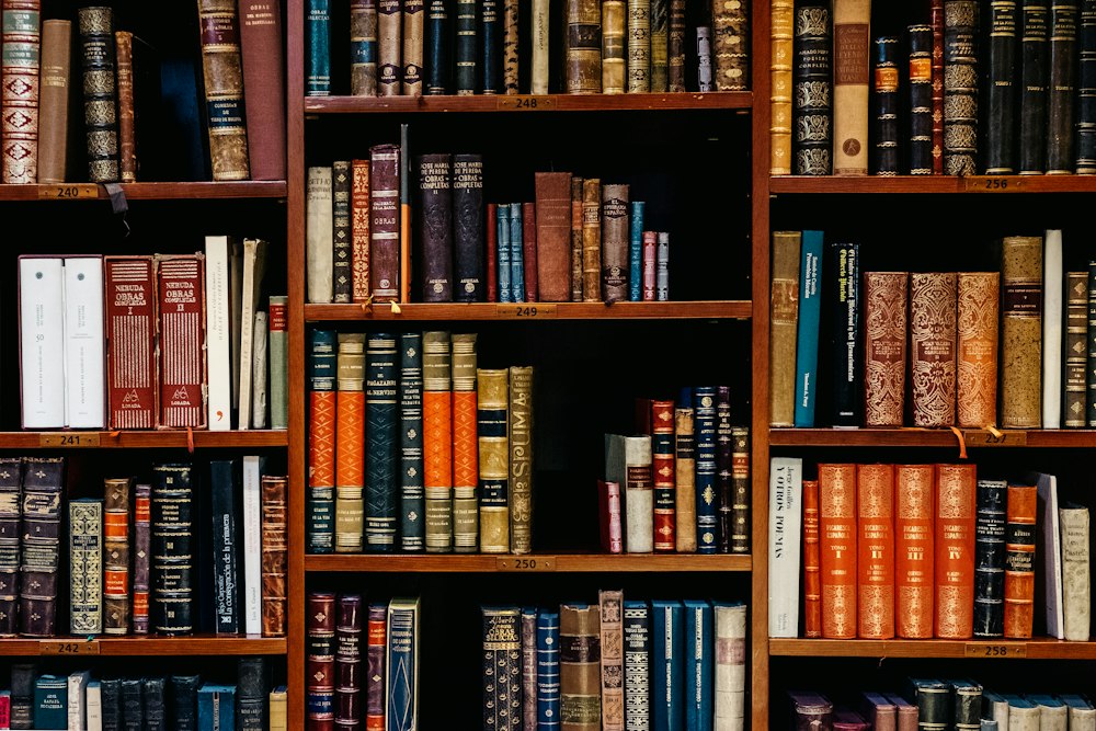 Activism books for beginners: how to read, reflect, and act without turning hope into homework